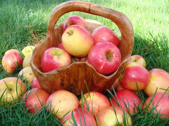 Сколько калорий в яблоках