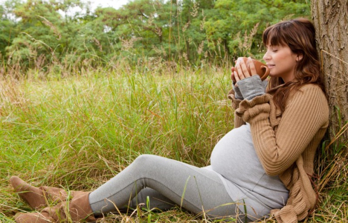 Можно ли пить ромашку при беременности