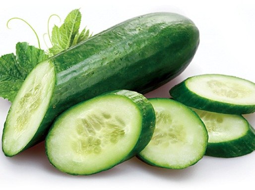 Useful bitter cucumbers