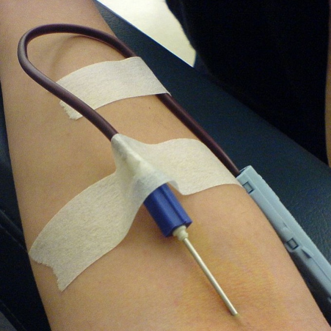 Перед тем, как попасть к рецепиенту, донорская кровь проходит многочисленные проверки на инфекционную безопасность.