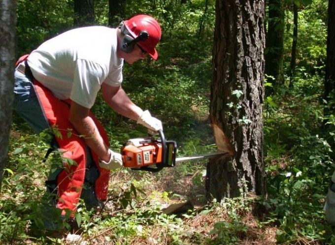  A chainsaw or chain saw: it is better to choose for the building?