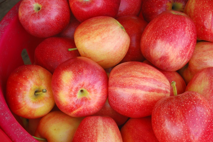 Как заморозить яблоки на зиму дольками