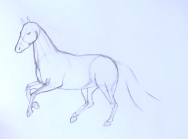 Как нарисовать лошадь поэтапно