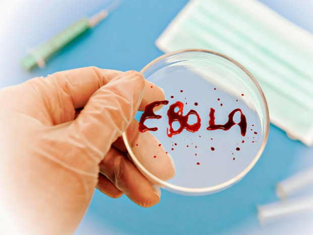 Как избежать заражения вирусом Эбола