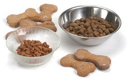 Сухой корм для собаки: правила выбора