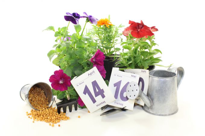 Посевной календарь для садоводов-огородников