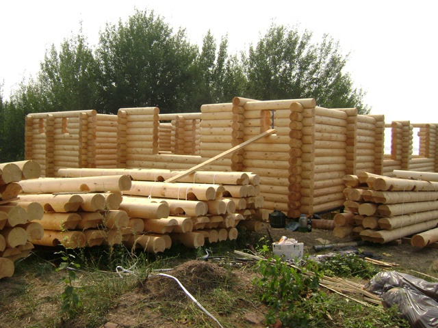 Выбор древесины для постройки жилого дома