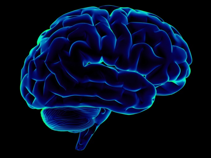 Какие продукты улучшают мозговую деятельность?