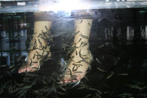fish-массаж ног