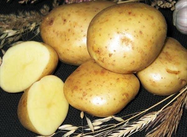 Чем полезна картошка