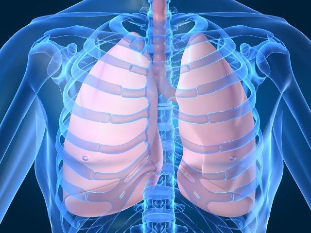 What is a cyst of the lung