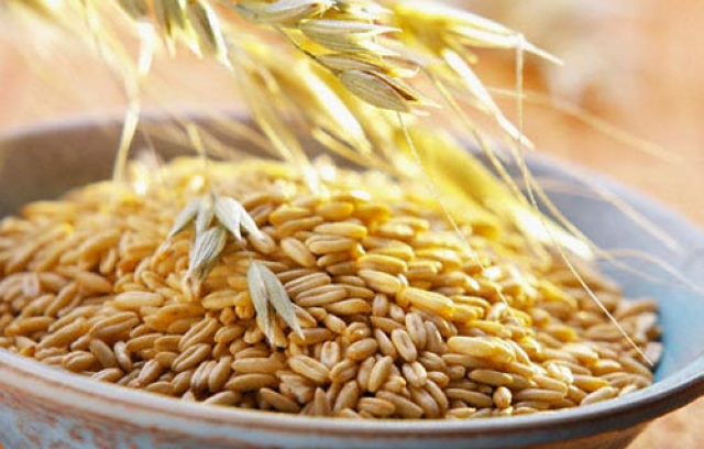 How useful infusion of oats and how to drink it