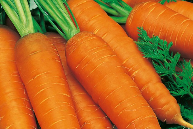 When to sow carrots for winter