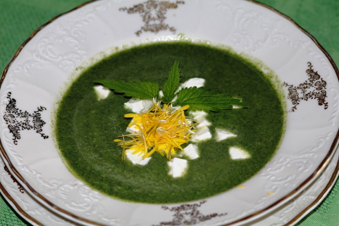 soup with nettle