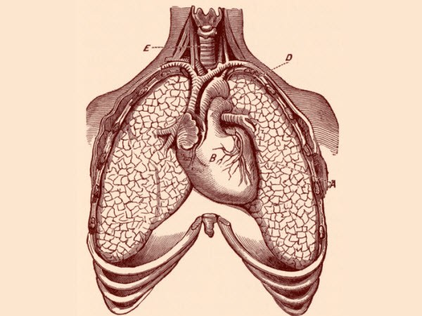 What to do when the cough is allocated blood