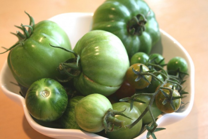 Как посолить зеленые помидоры