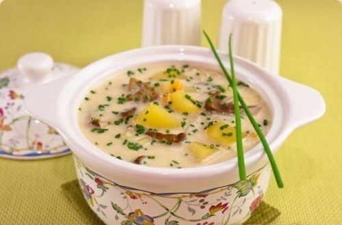 Как приготовить сырный суп с белыми грибами