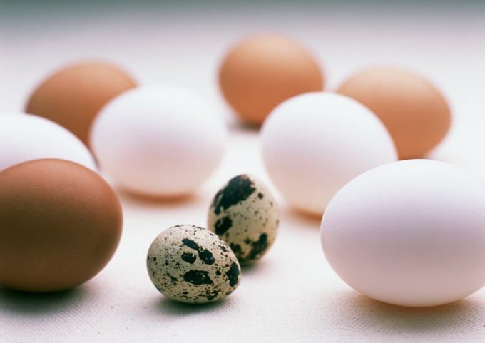 Чем полезны перепелиные яйца