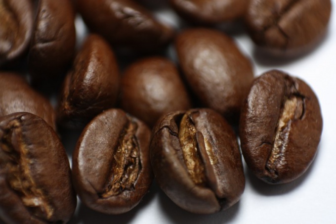 Все о кофе: что такое арабика