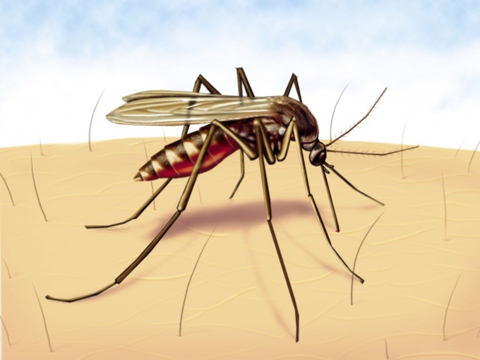 How to get rid of mosquitoes using odor