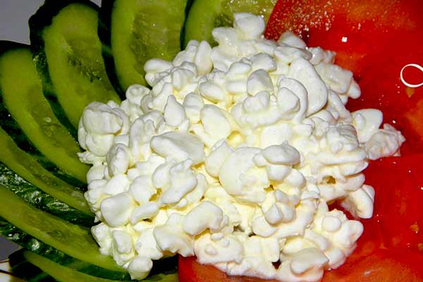 How to make cottage cheese at home and how useful it is