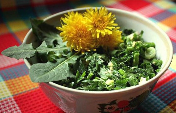 Как приготовить весенний салат из одуванчиков