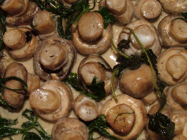 Salad recipe with canned mushrooms