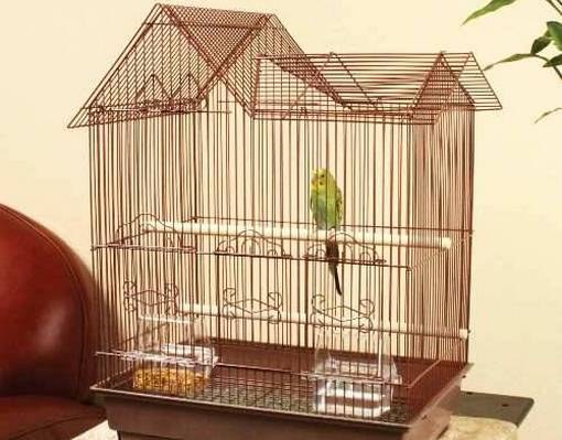 How to equip the parrot cage