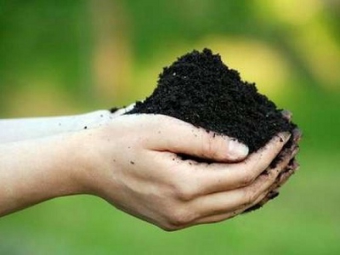 Канадская технология обработки почвы