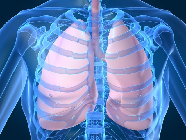 What is the volume of the lungs is considered normal for an adult 