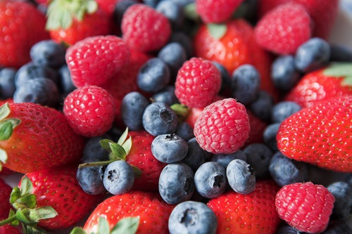 How to freeze fresh berries pureed