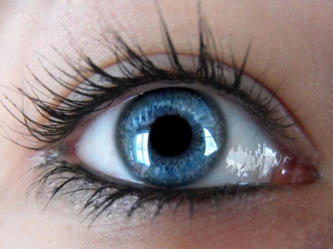 What hair color suits to gray-blue eye color