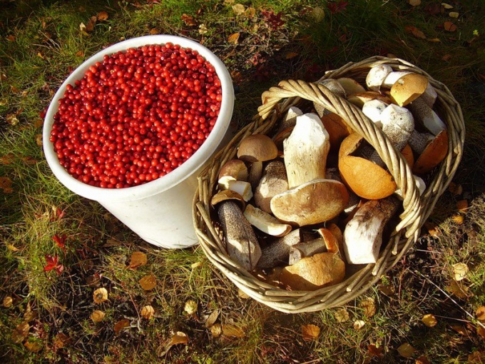 How long to cook mushrooms