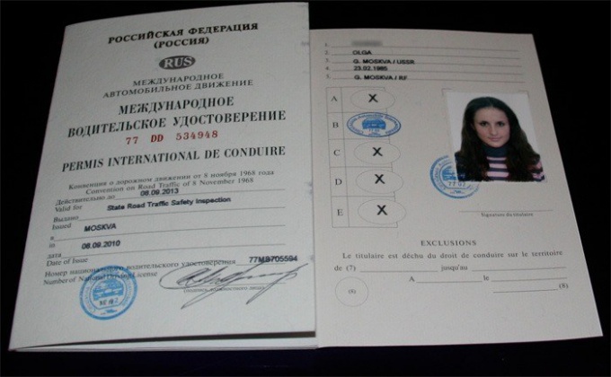 New international driver's license