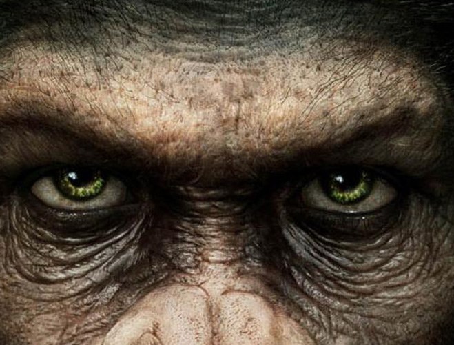 О чем фильм «Рассвет планеты обезьян»