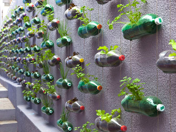 Как сделать огород из пластиковых бутылок