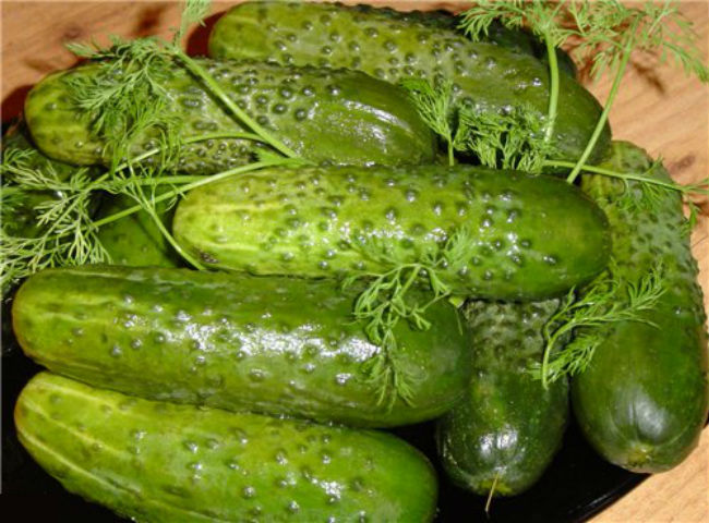 Freshly-salted cucumbers in a quick way