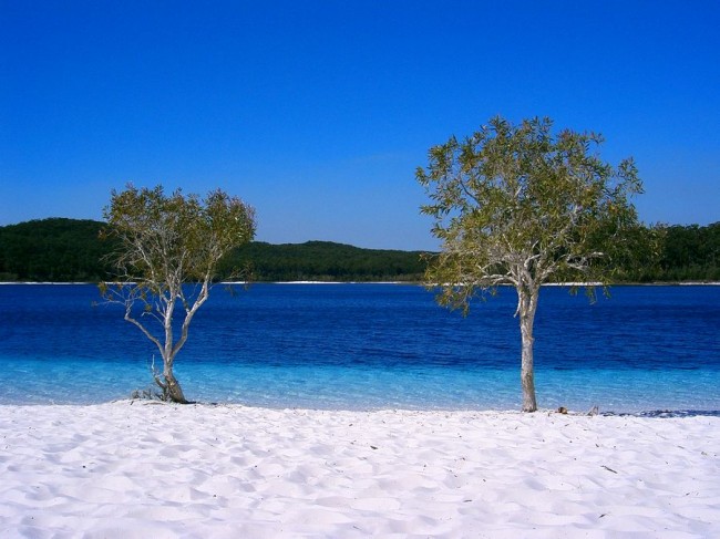 Какое озеро самое чистое в Австралии и в чем его особенности