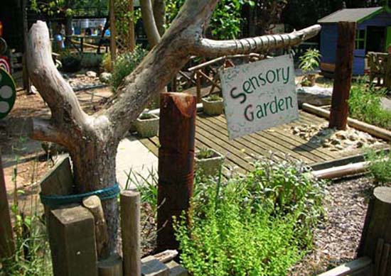 Сенсорный сад