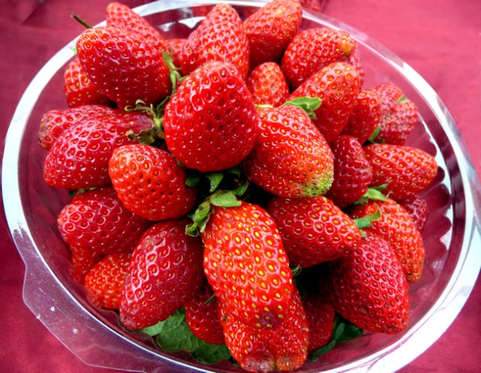 How to get a large crop of strawberries