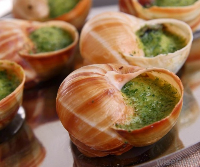 How to eat snails