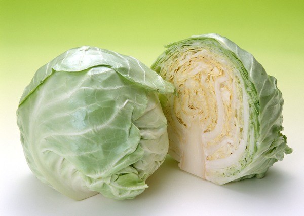  10 рецептов вкусных салатов из свежей капусты 