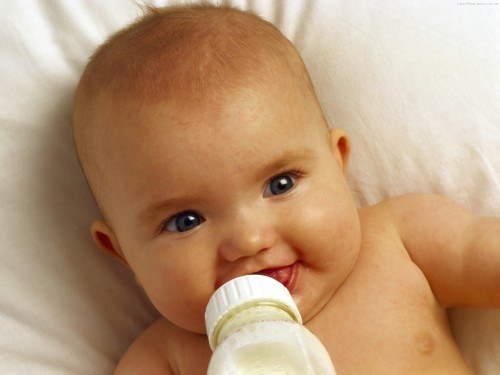 Can a baby cow or goat milk?