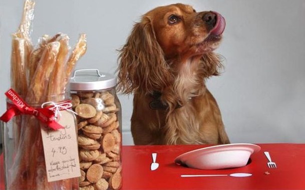 Сухой корм для собак: вред или польза