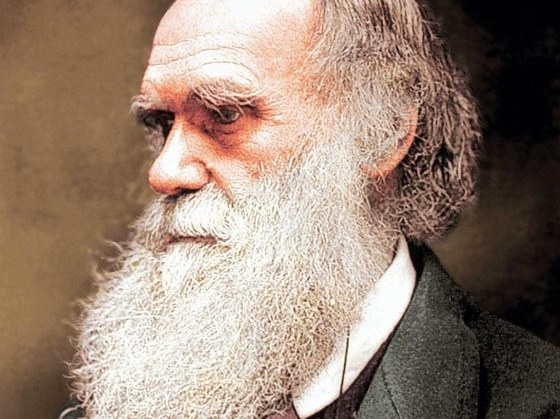 The Discoveries Of Charles Darwin