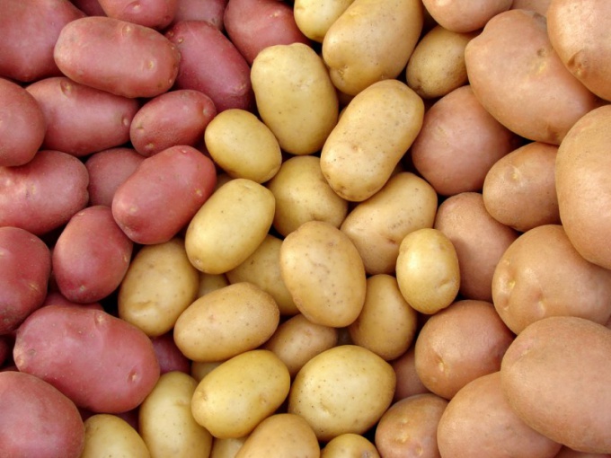 Как на глаз определить сорт картофеля