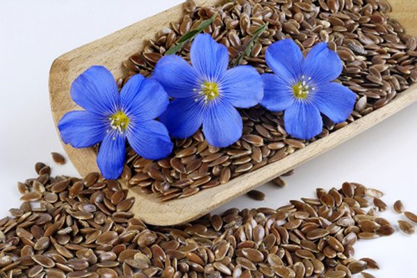 What helps a decoction of flax seed