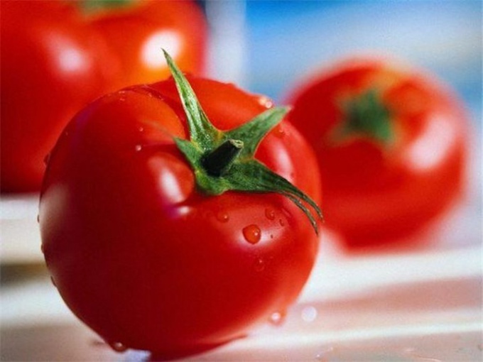 Как выбрать семена томата