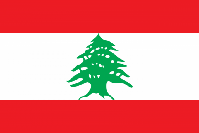Какое декоративное дерево изображено на флаге Ливана