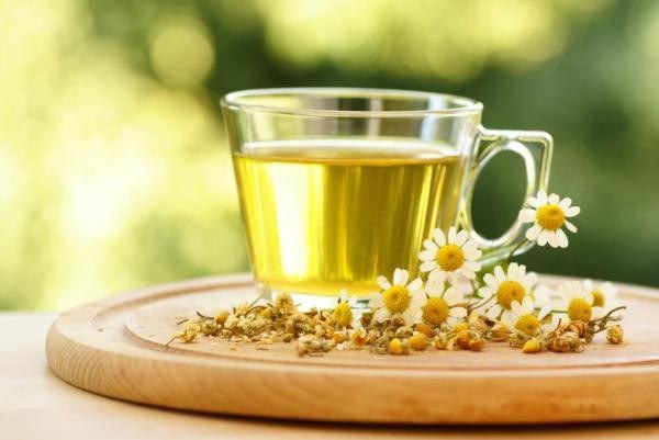 What sedative herbs it is possible to drink pregnant